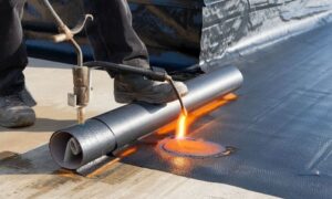 BTP-Transformation-dun-auto-entrepreneur-en-societe conseil en gestion et pilotage entreprises