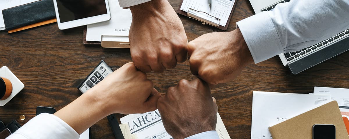 plan de financement business plan auprés des banques avec le cabinet frutoso conseil - Audit stratégique